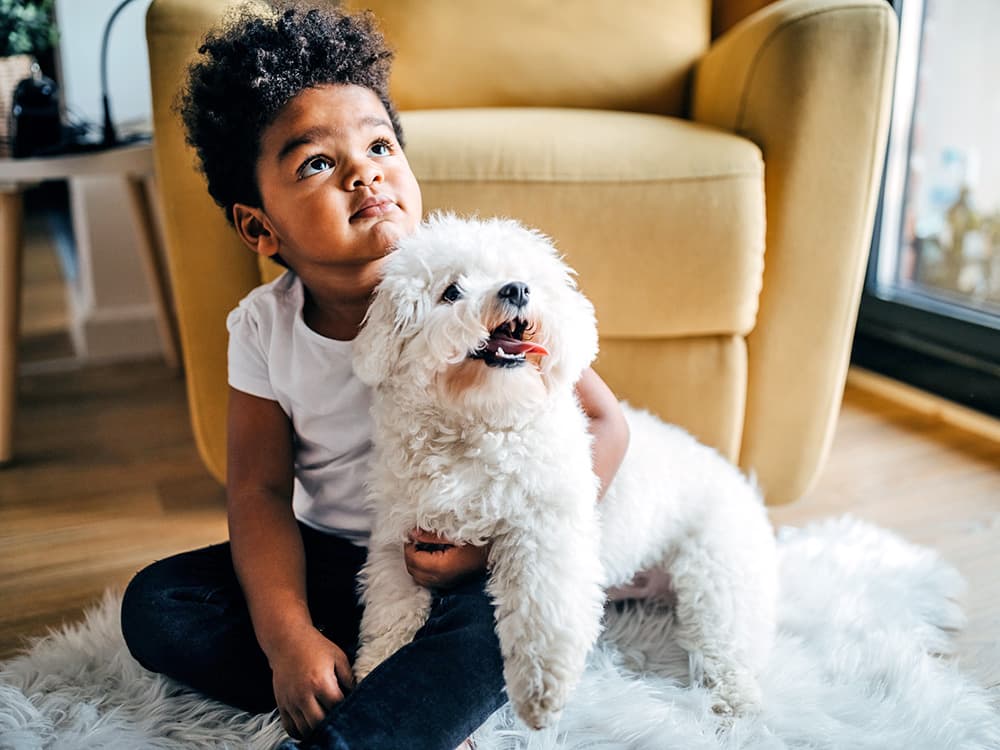 10 Best Dog Breeds for Kids That Make Great Family Pets