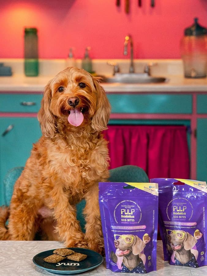 Score Nutritious Treats For Your Environmentalist Pup From Pulp Habits