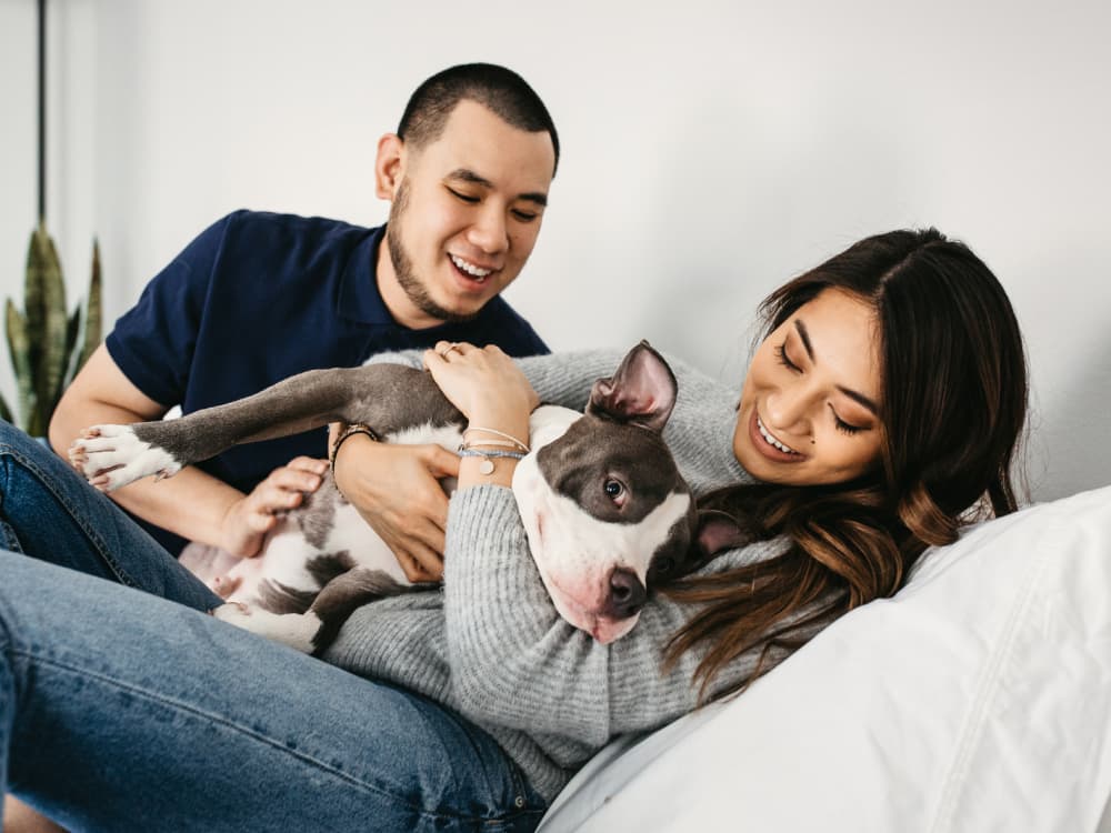The Good Fight: New York Takes Steps to Squash Breed-Specific Legislation