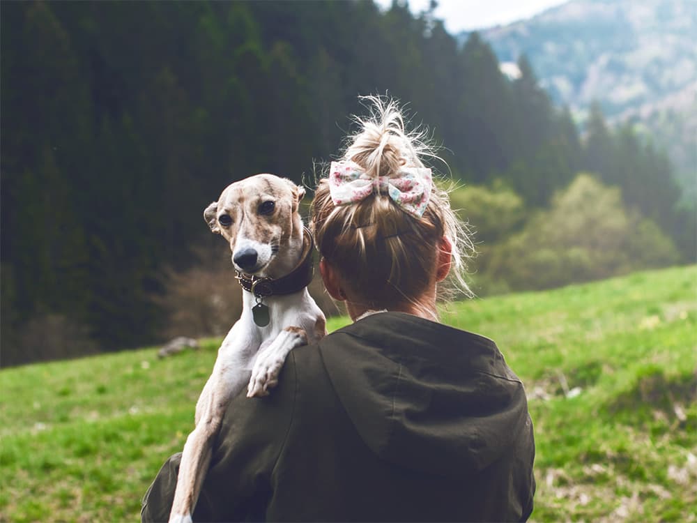 Soft Hiking Is Hardcore Good For You and Your Dog