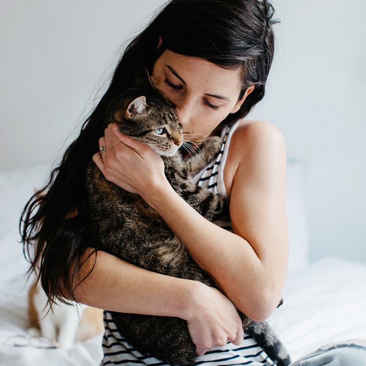 10 Signs Your Cat Has Imprinted on You