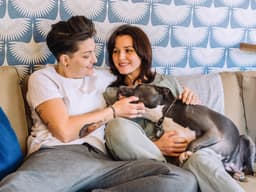 Guess Which Shelter Dogs Make Great Service Dogs
