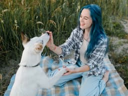 Puppy Training 101: How to Train a Puppy