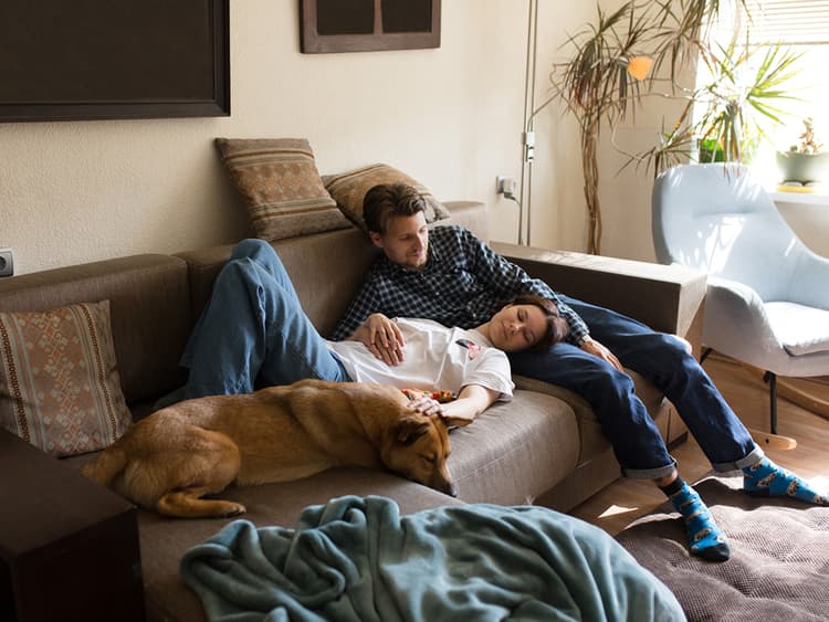 How to Discover the Joys of Dog Fostering