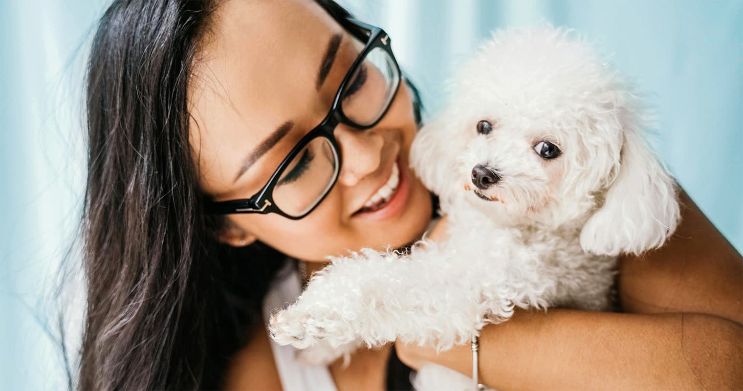 250+ Poodle Name Ideas for Your Newly Adopted Dog