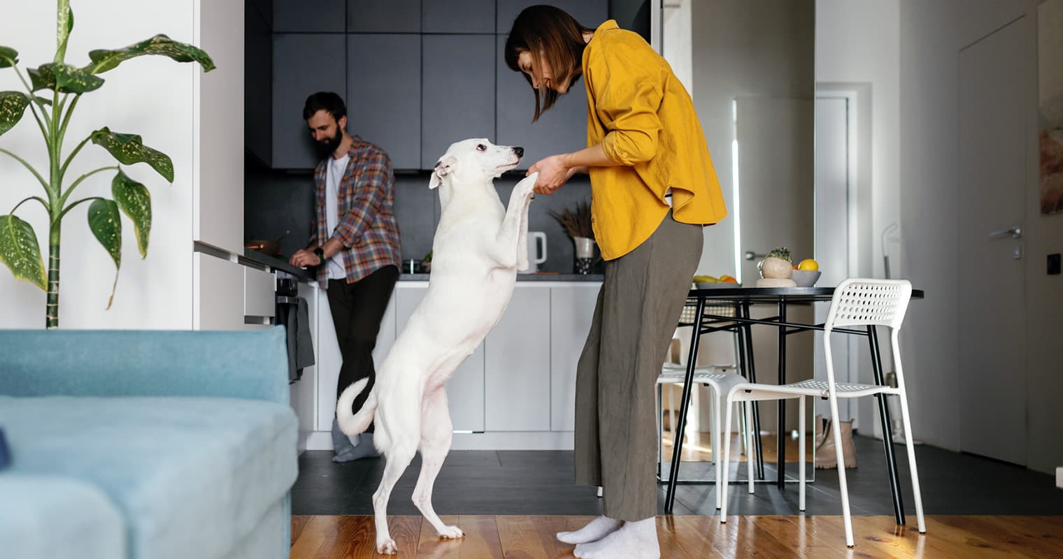 How to Stop Your Dog From Jumping on People