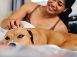How to Help Dogs With Intervertebral Disc Disease