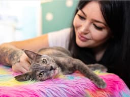 A Rescue Kitten Cafe Opens in Venice...and It’s Called Tiny Beans