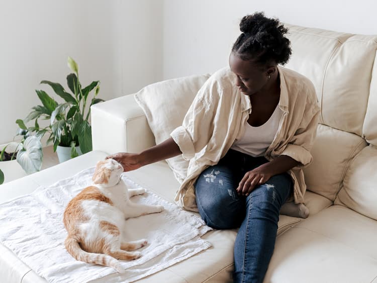 How to Keep Your Cat From Having a Full Freakout When You’re Away