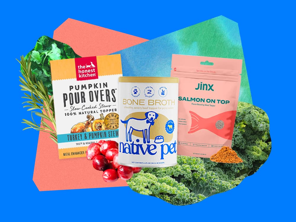 9 Food Toppers That Will Make Your Dog Actually Want to Eat Dinner