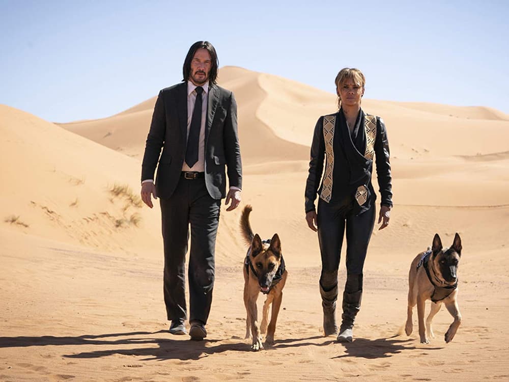 Why You Shouldn’t Get a Dog Breed Because You Saw It in a Movie
