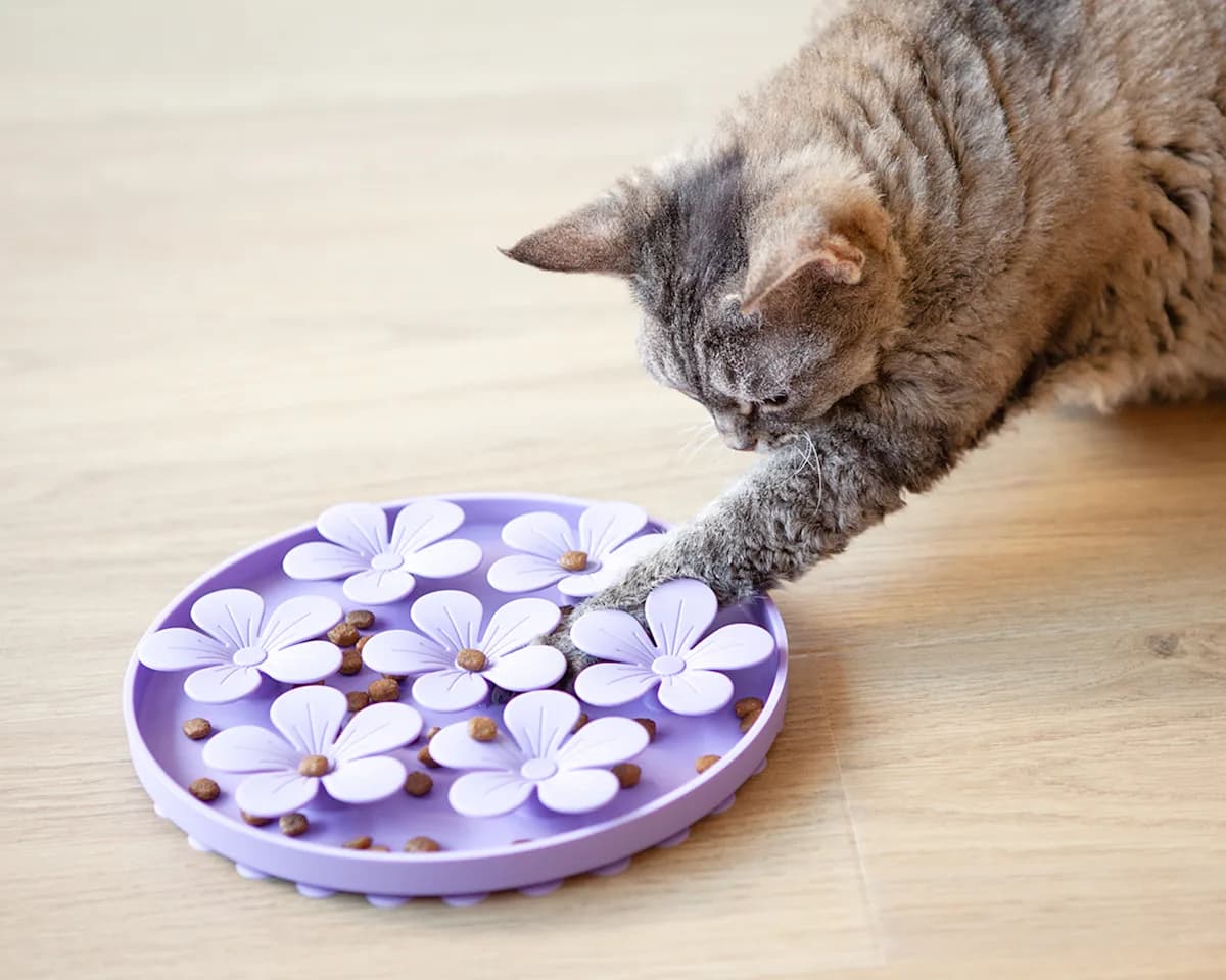 cat using purple flower puzzle food feeder