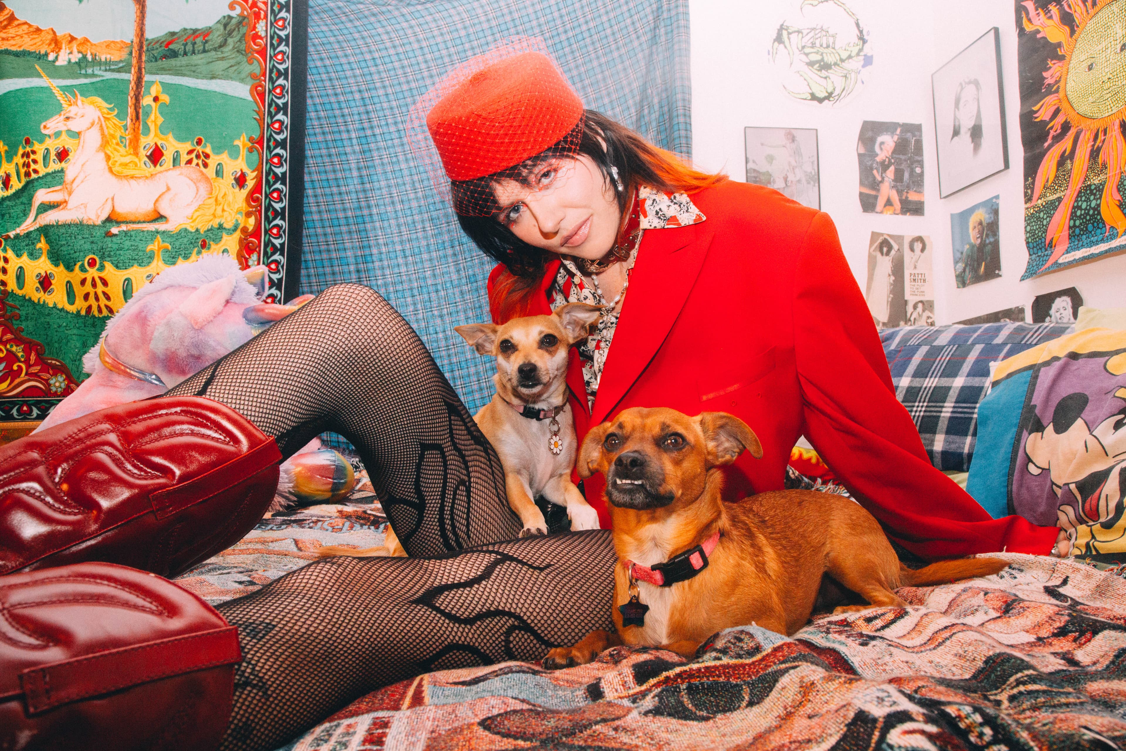 Dani Miller’s Dogs Helped Her Realize Life Is Not About Following the Rules