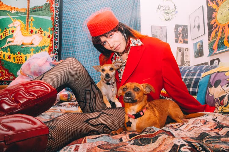 Dani Miller’s Dogs Helped Her Realize Life Is Not About Following the Rules