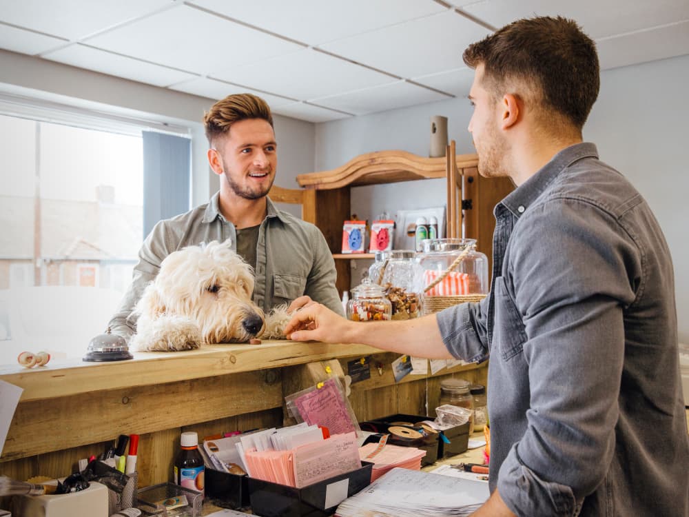A Pet Parent’s Guide to Holiday Tipping