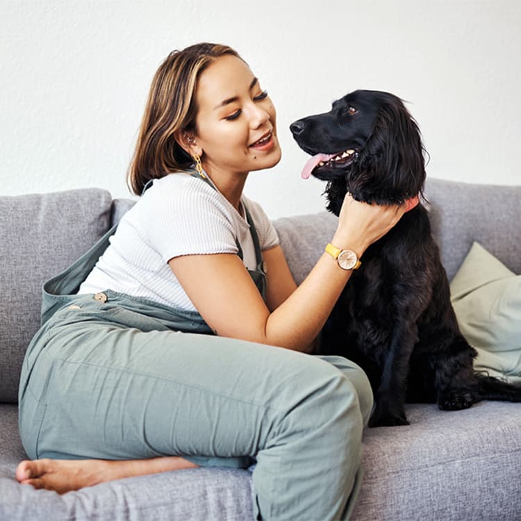 Fostering a Dog for Even a Couple Days Increases Their Chances of Adoption, Study Says