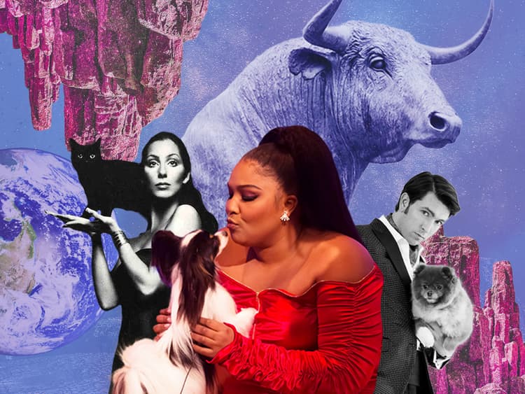Take a Cat Nap on the Coziest Chaise Lounge For Taurus Season