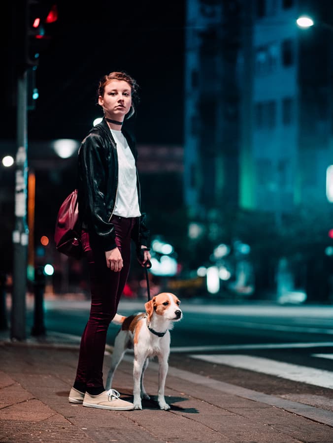 Why Do Dogs’ Eyes Glow in the Dark?