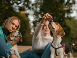 The Beagle Freedom Project