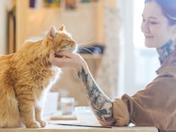 The Feline Five Is a Personality Test That Could Actually Be Useful