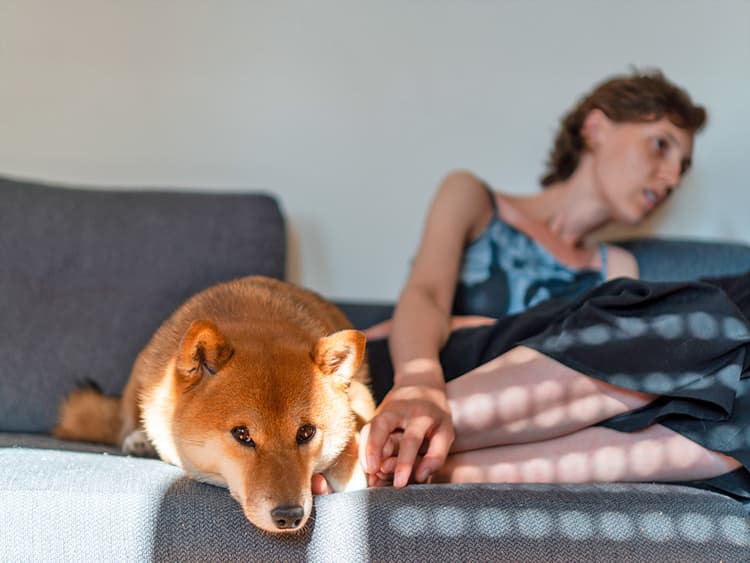 8 Things You Do That Hurt Your Dog’s Feelings