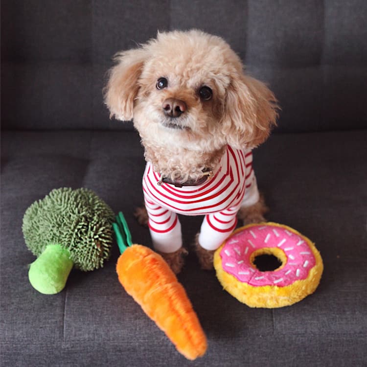 How to Tell if Your Dog is a Genius
