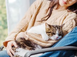Kidney Disease in Cats: Symptoms, Signs, and Treatments