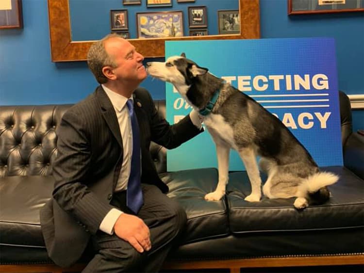 Two New Federal Bills Aim to Keep Pets and Their Families Together