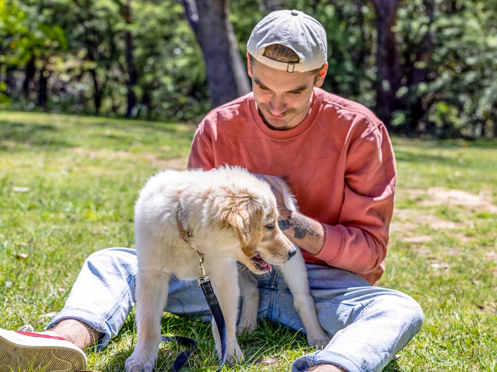 Why Are Dogs Obsessed with Booty Scratches?