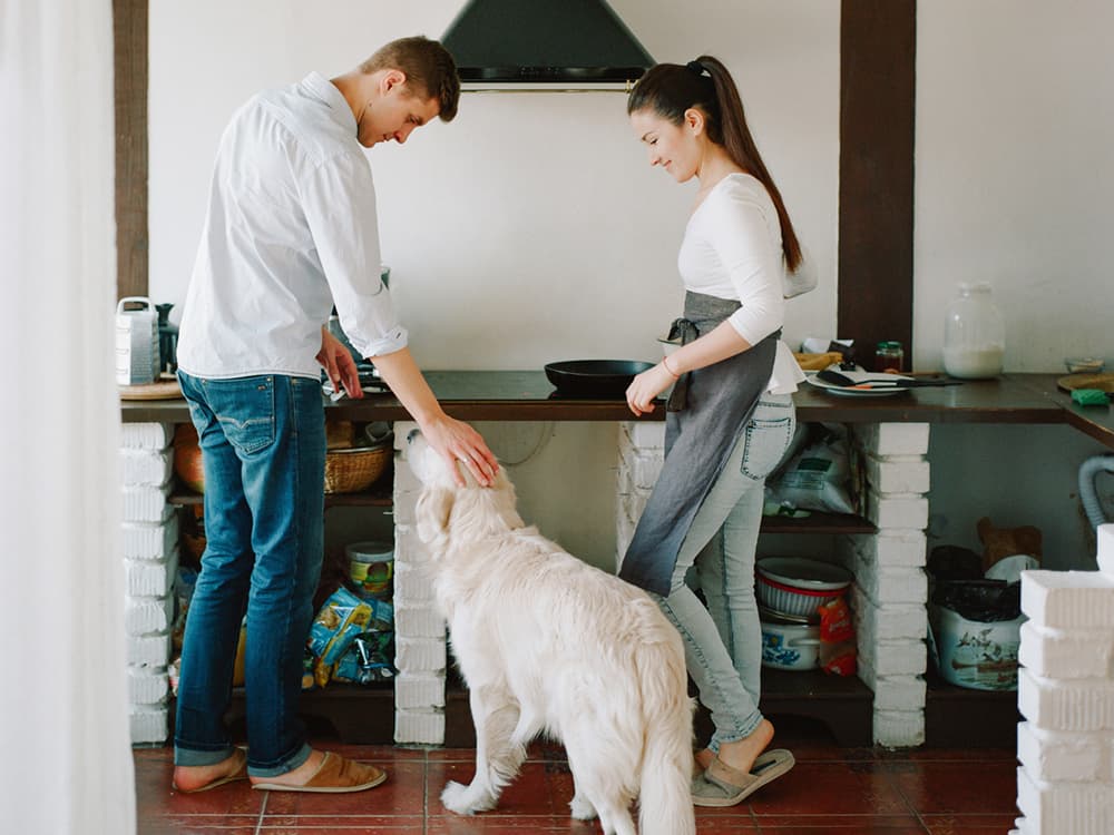 How to Make Homemade Dog Kibble