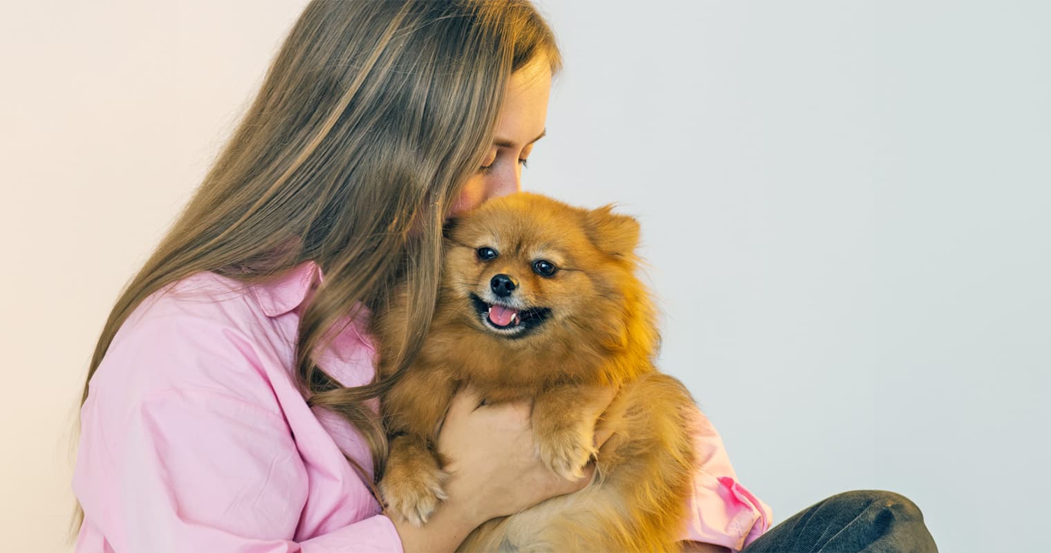 How Do I Find a Good Home for My Pomeranian?