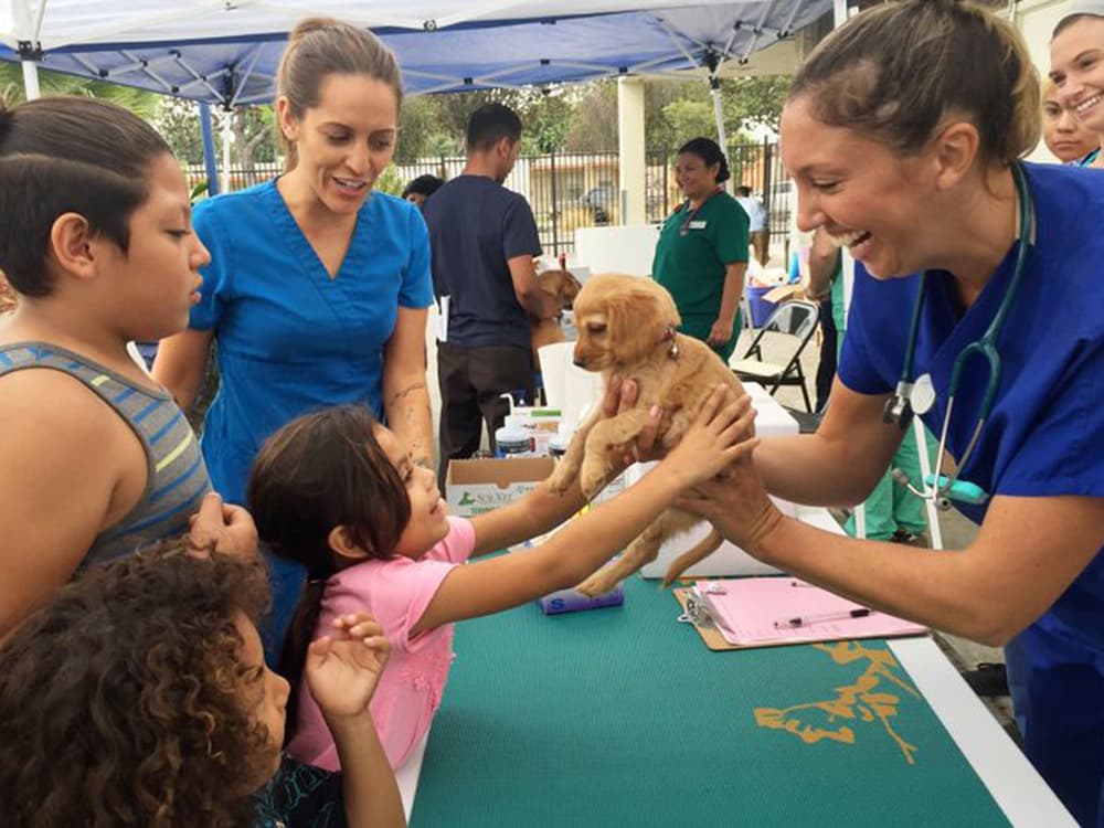 How Pets for Life Is Breaking Down the Biggest Barrier to Pet Parenthood: Money