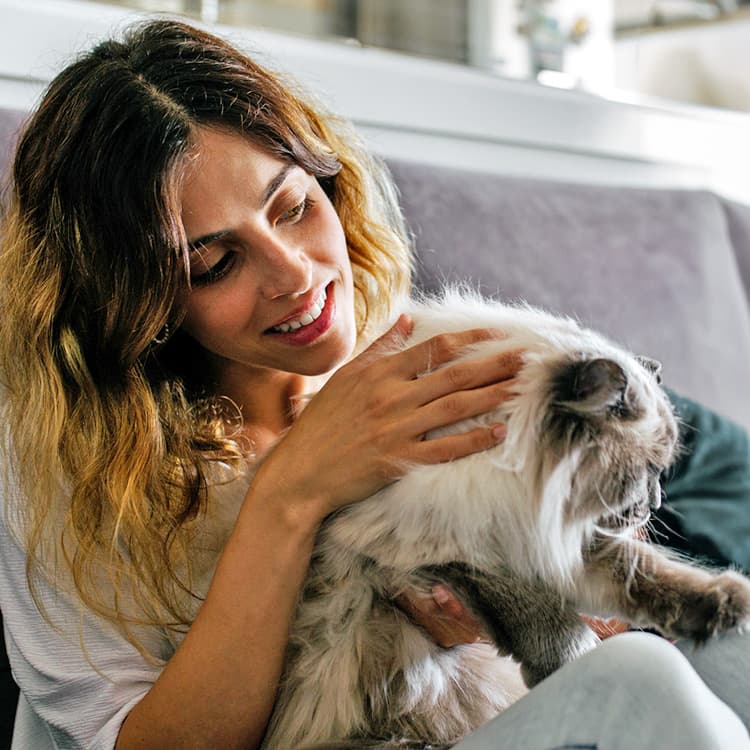 Why Does My Cat Have Dandruff? Common Causes and Treatments