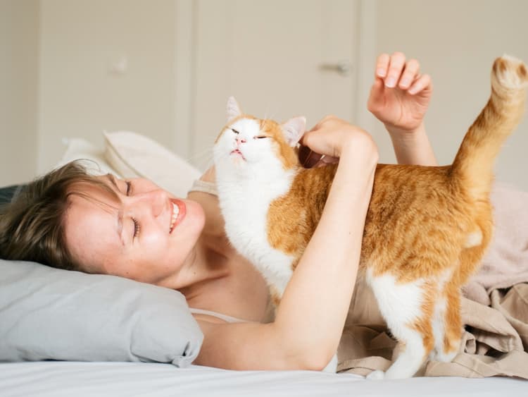 Why Does My Cat Wake Me Up at the Crack of Dawn?
