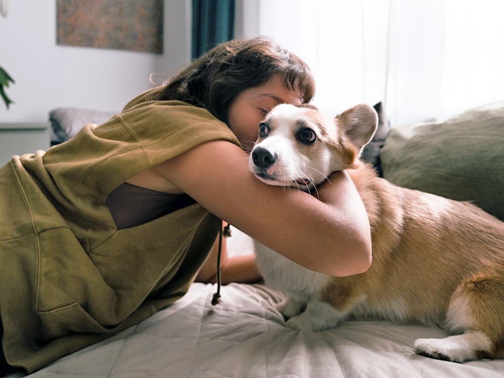 Here’s Why Your Dog Doesn’t Like to Cuddle
