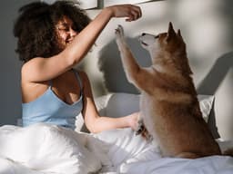 Senior Dogs Need New Tricks to Stay Healthy In Body and Mind