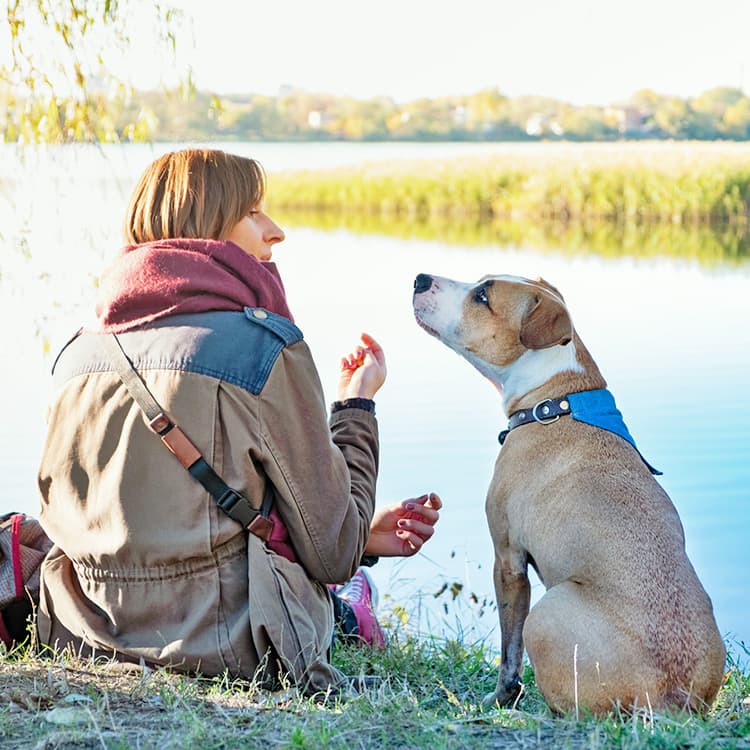 50% of Pet Parents Talk to Their Dogs as Much as Friends—Sound Familiar?