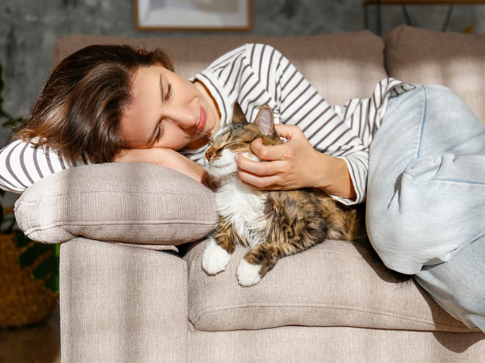 Does Your Attachment Style Affect How You Are as a Pet Parent?