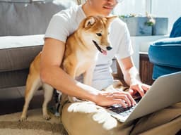 How to Claim Your Foster Pet on Your Taxes