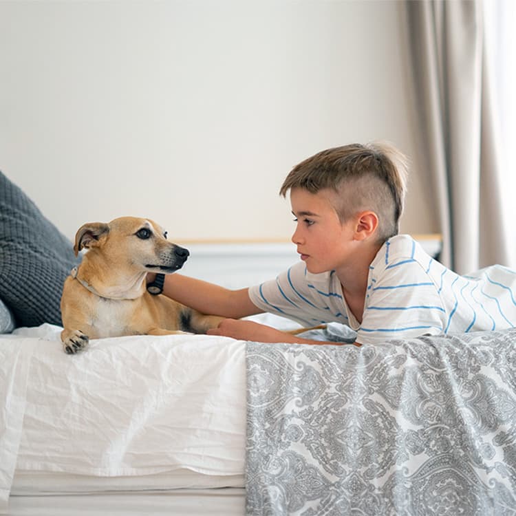 What Do You Tell Your Kids When Your Family Pet Dies?