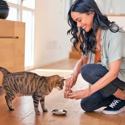 When Can a Kitten Eat Wet Food?