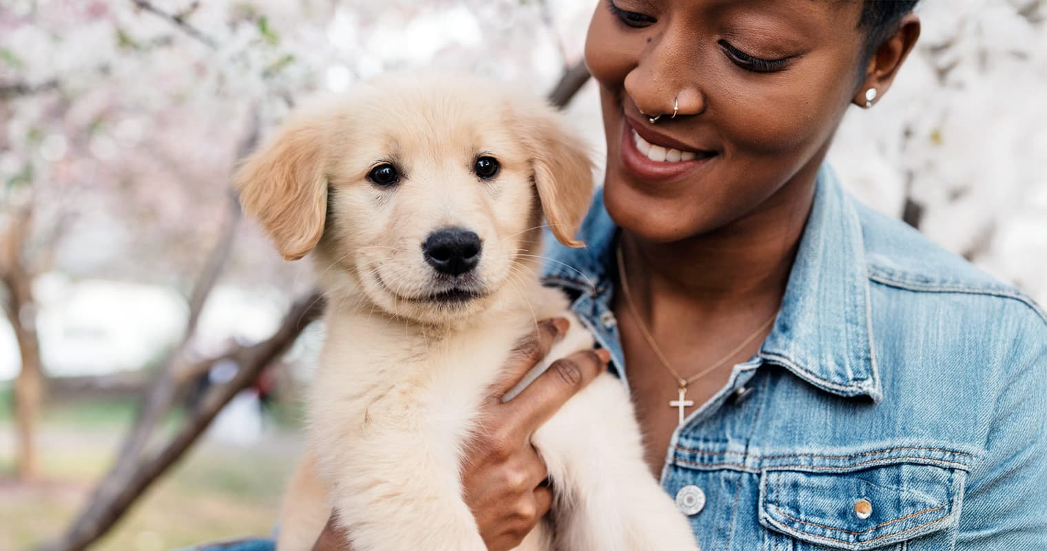 A Vet’s Honest Take: Ten Things to Know Before Getting a Puppy