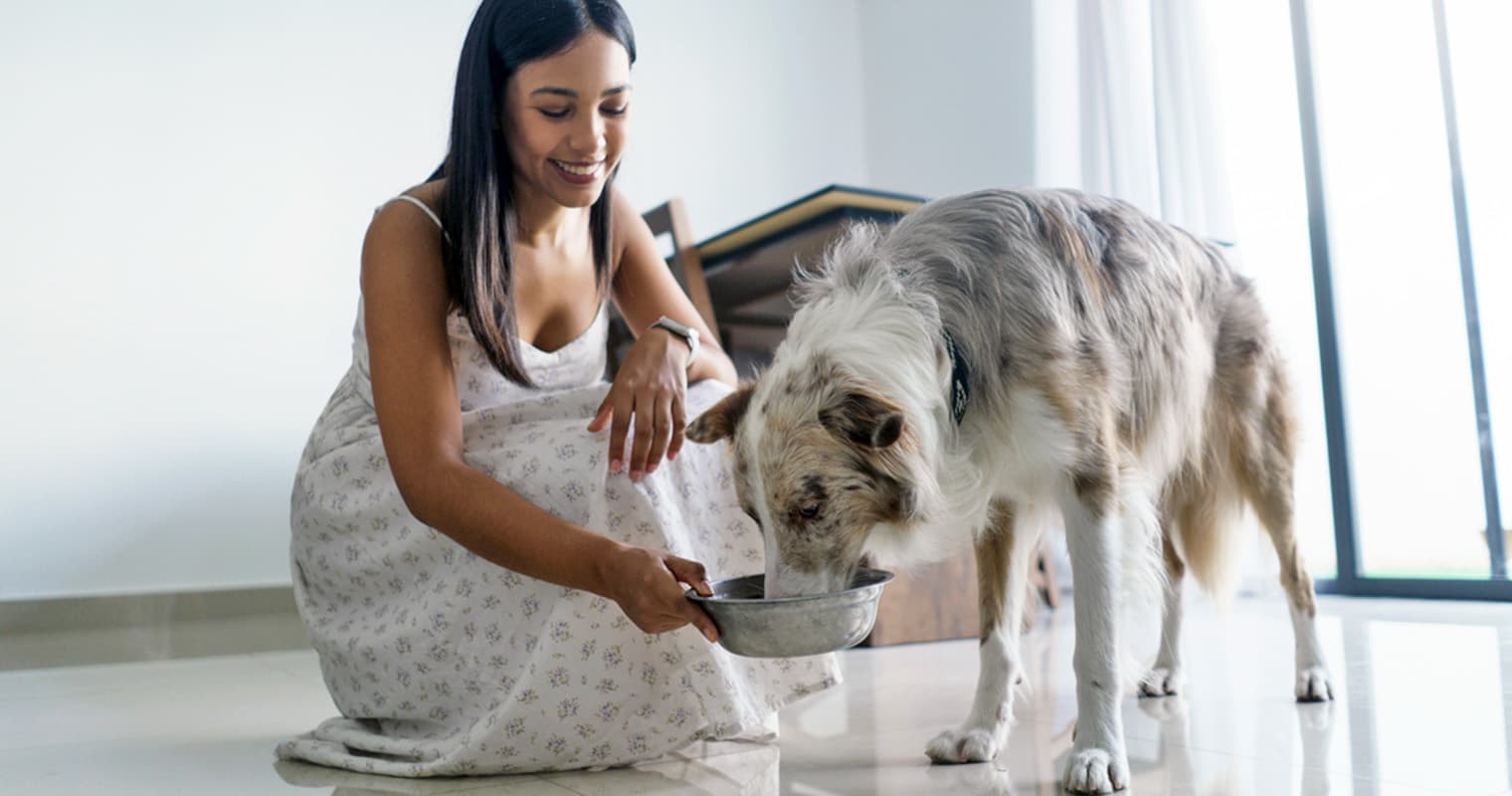 Think Your New Dog Has Food Allergies? Here’s What to Do Next