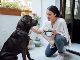 How Many Cups Are in a Pound of Dog Food?