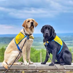 Eukanuba and Canine Companions Expands Their Partnership to Help Service Dogs Thrive