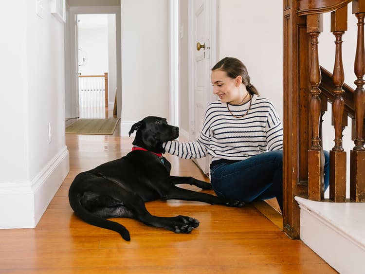 How to Be a Great Pet Sitter