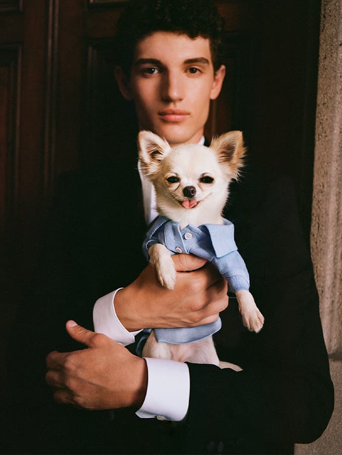 The 10 Most Jaw-Dropping Items the Ultra-Rich Buy Their Pets