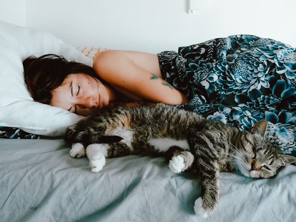 Should I Let My Cat Sleep With Me? Things to Consider About Having Your Cat in Bed