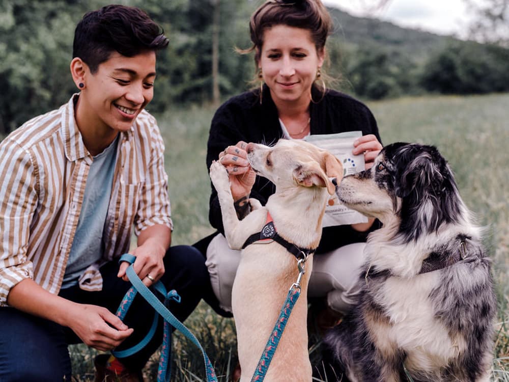 How a Skittish Pandemic Puppy Inspired a Superfood Treat Brand