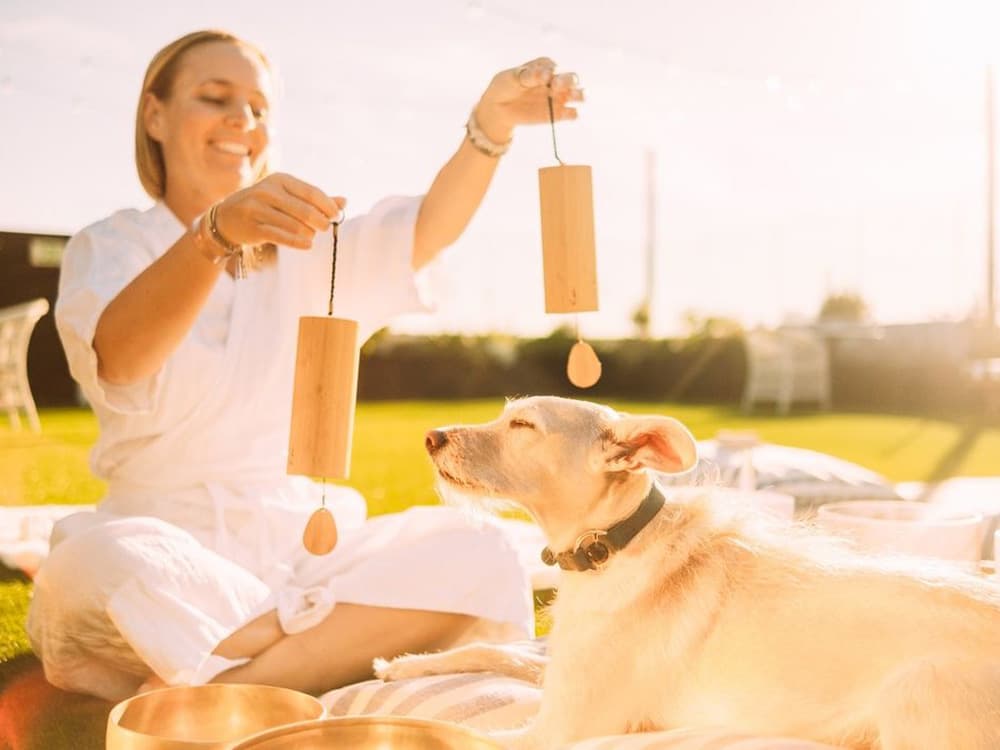 Doggie Sound Baths Are Obviously a Thing in 2023
